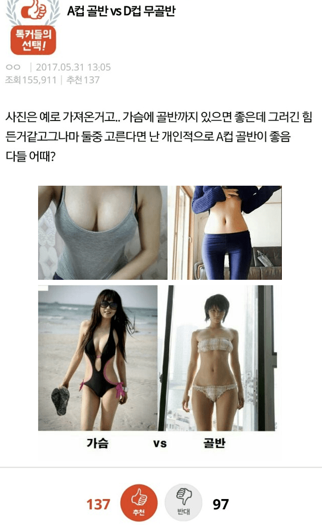 bt7ae23481bc95466c3f8bd0fa66905ecc.png